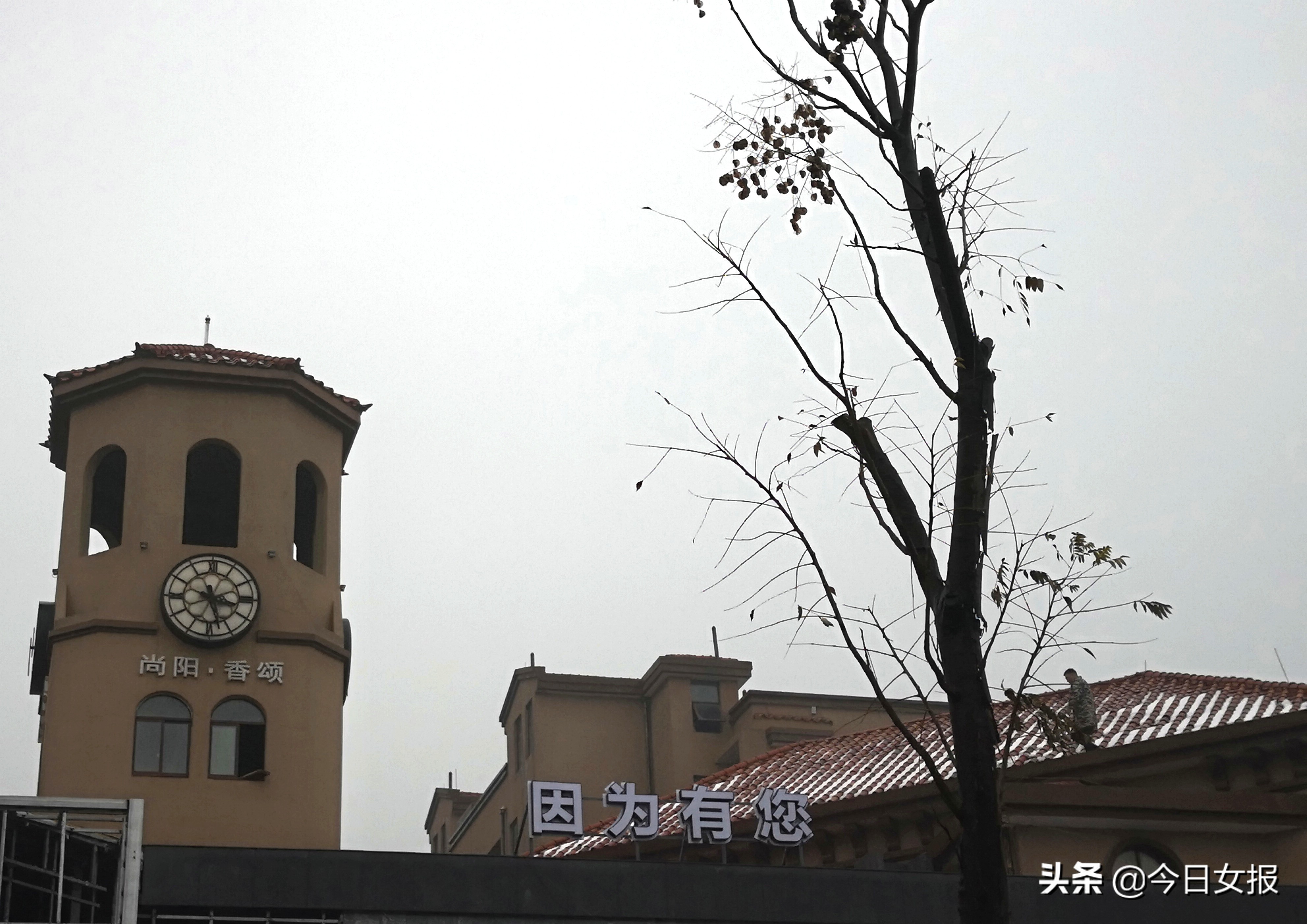 搅拌机都用上了！岳阳一小区违法建筑没人管，吵得邻居纷纷投诉