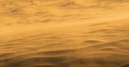 撒哈拉沙漠有多深？如果挖空沙子，下面还能剩下什么？