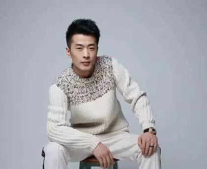 辛有志身价全国排名(辛有志身价全国排名图片) - 直播好站