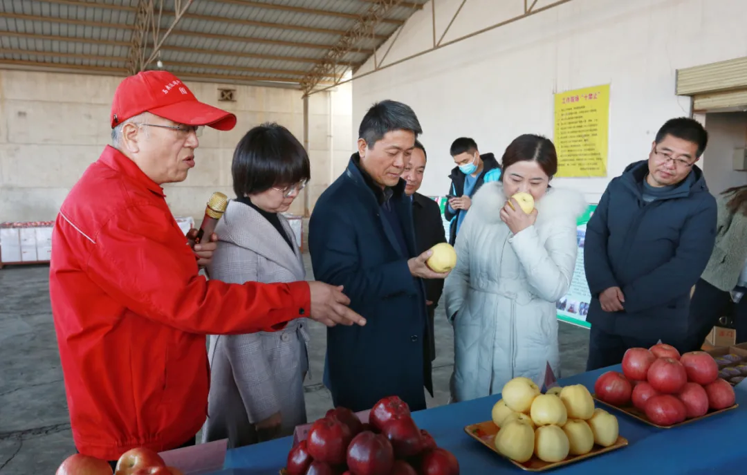 陕西扶风：电商让扶风水果火起来 奋力跑好乡村振兴“接力赛”