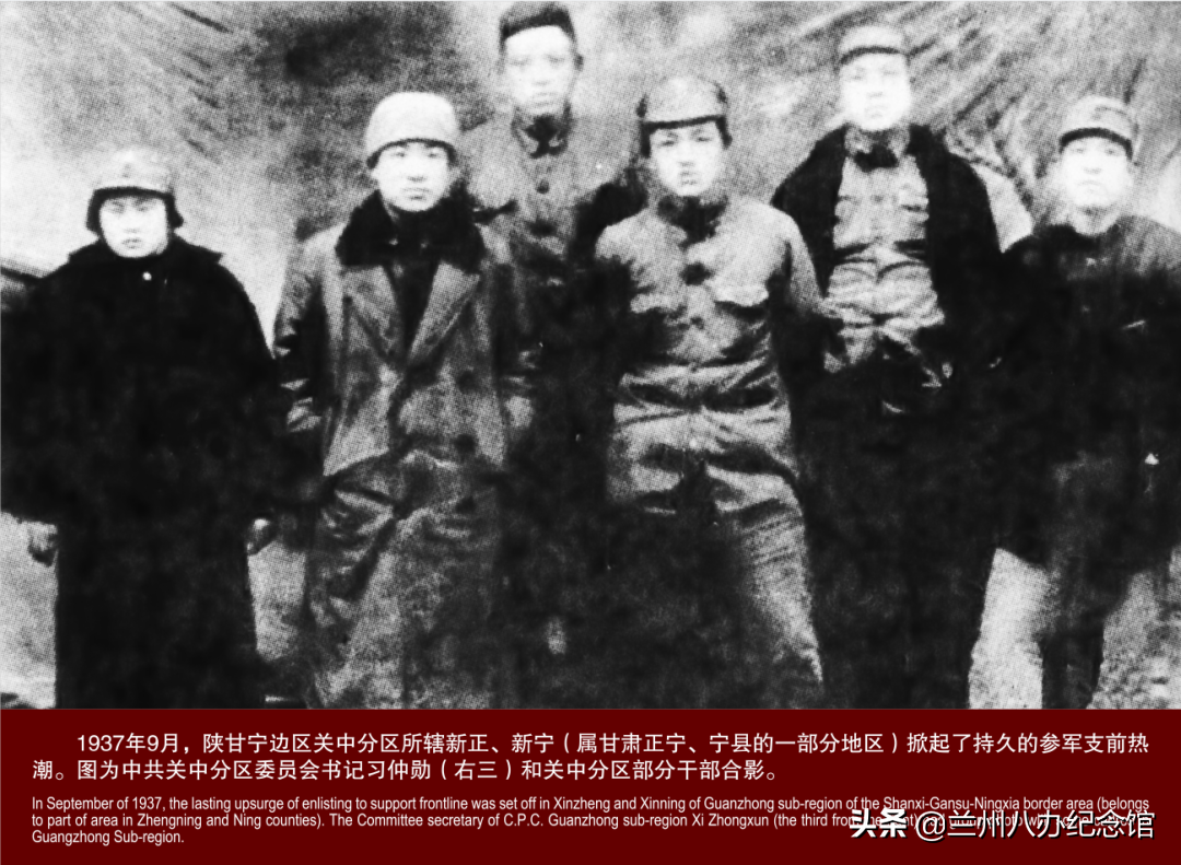 在线观展 