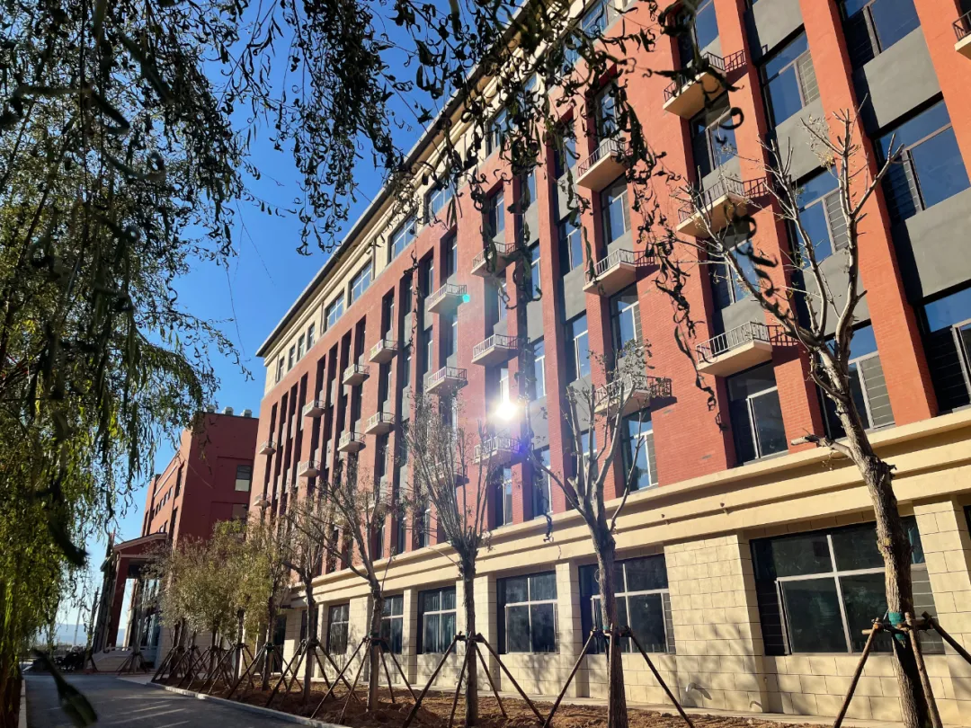 启臻| 霜降来临,不变的是启臻的温度-张家口启臻学校