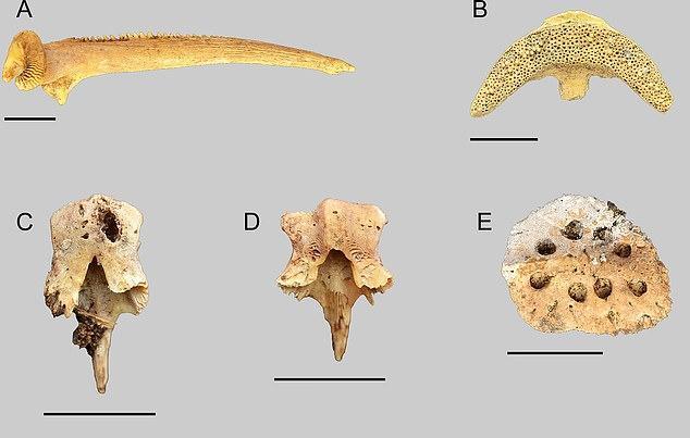撒哈拉沙漠有多深？如果挖空沙子，下面还能剩下什么？
