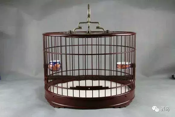 养鸟的种类与笼具的选取