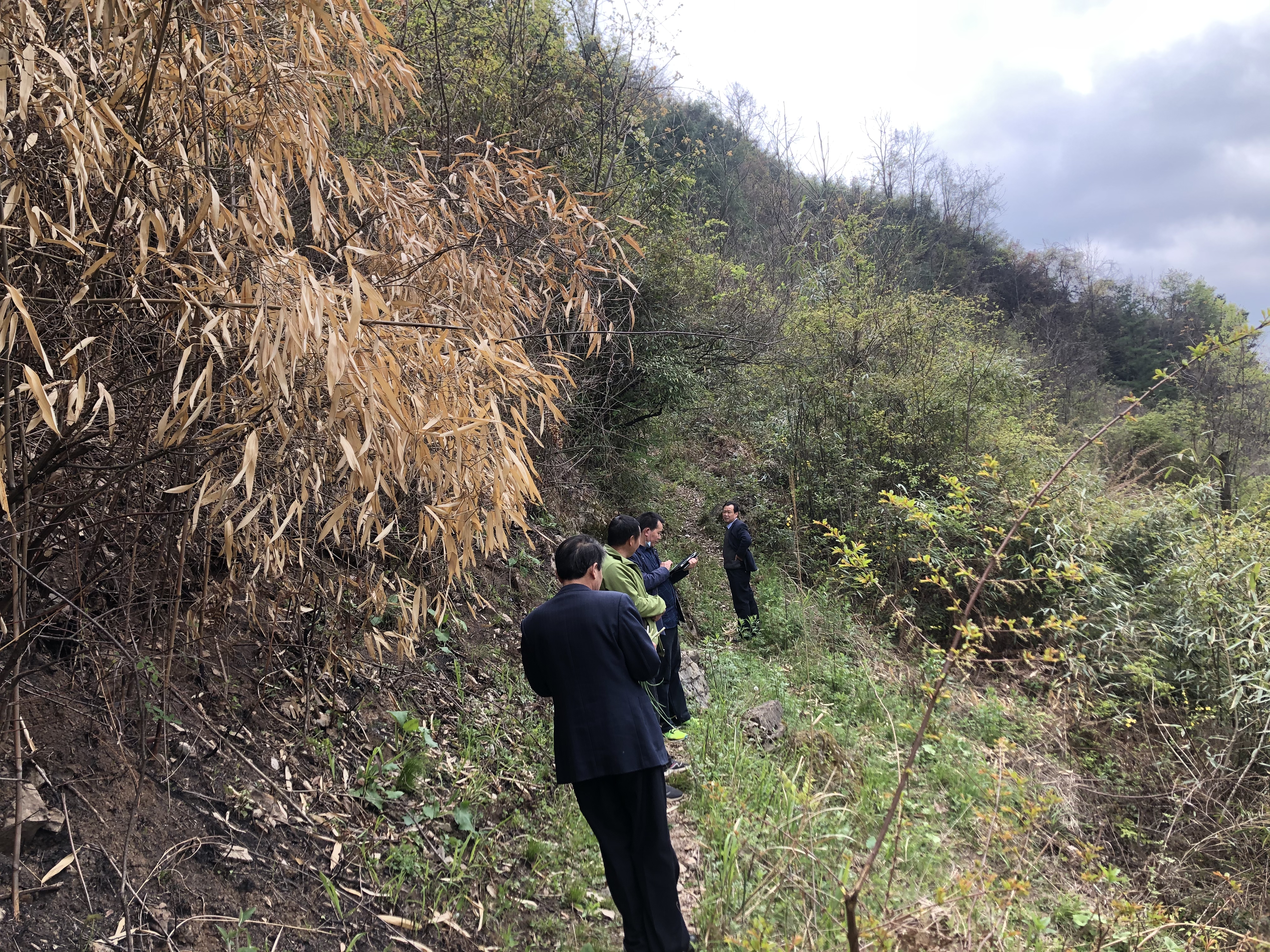 镇巴县公安局森林警察大队成功侦破一起放火案