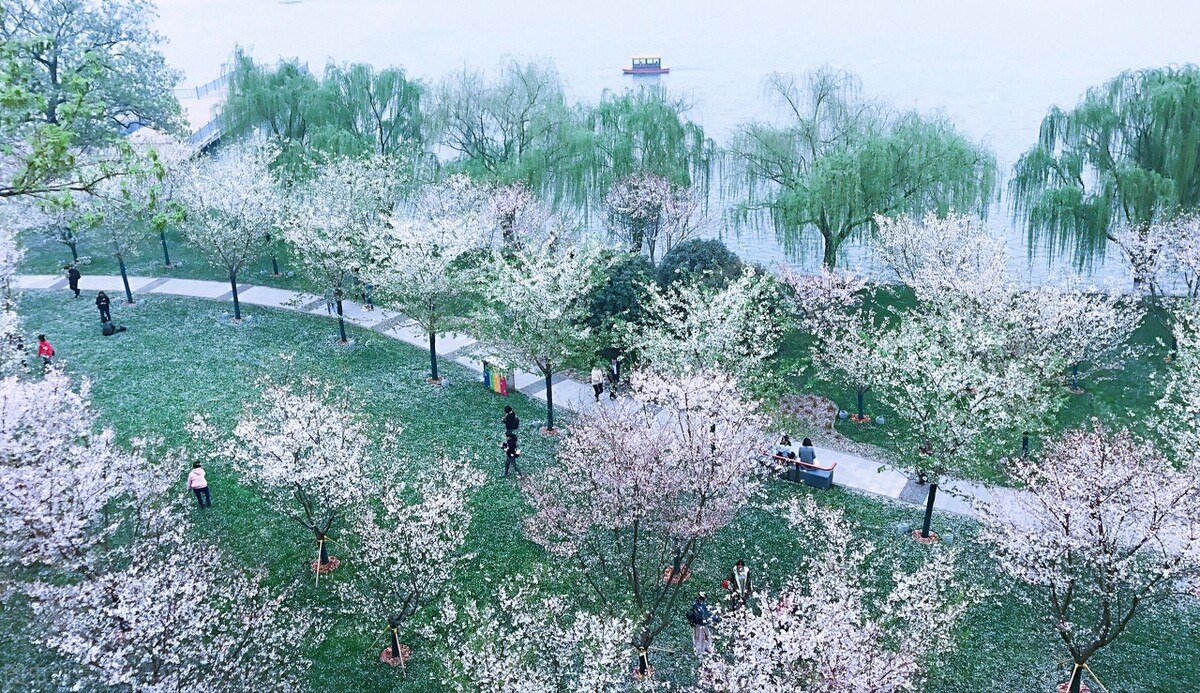 推荐中国十大最美城市公园，哪个在你心中是最美？插图44