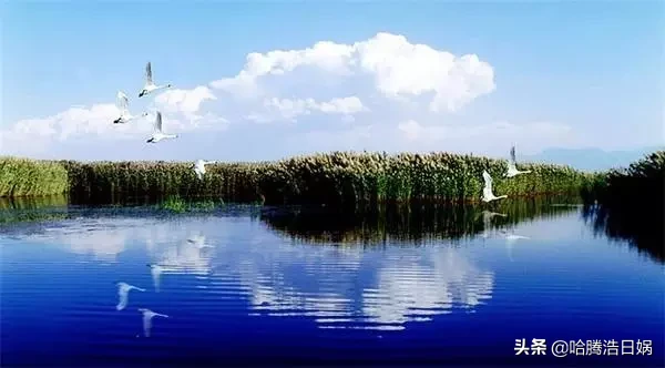 内蒙古十二盟市车牌号首字母含义你知道么？
