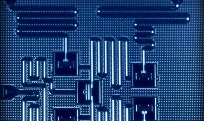 �й������¡������������������ĳ����100���ڱ���զ�����ģ�