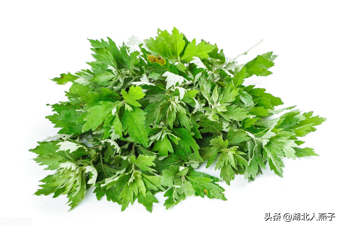 65种野菜图片大全，教你认识不同的野菜和吃法，你想要的野菜都有