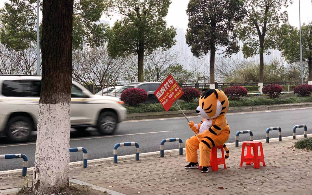 互联网保养维修选哪家？养车平台对比体验