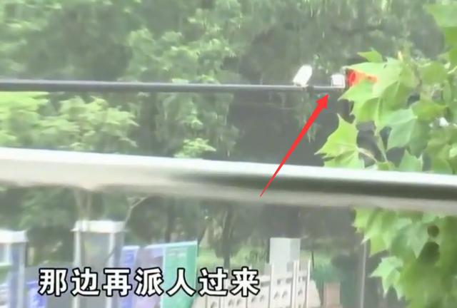 自家电费高到有点离谱？一查家里电表竟连着：红绿灯