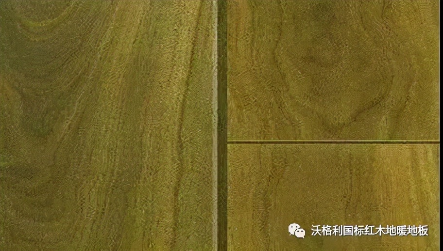 沃格利国标红木大宅地暖地板木材百科全书（三）世界上最硬的木头