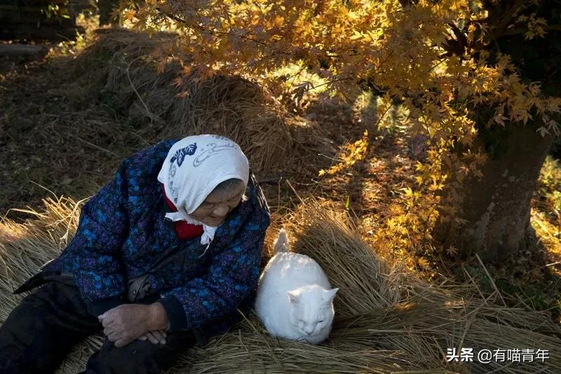 谢谢，福丸！再见，福丸