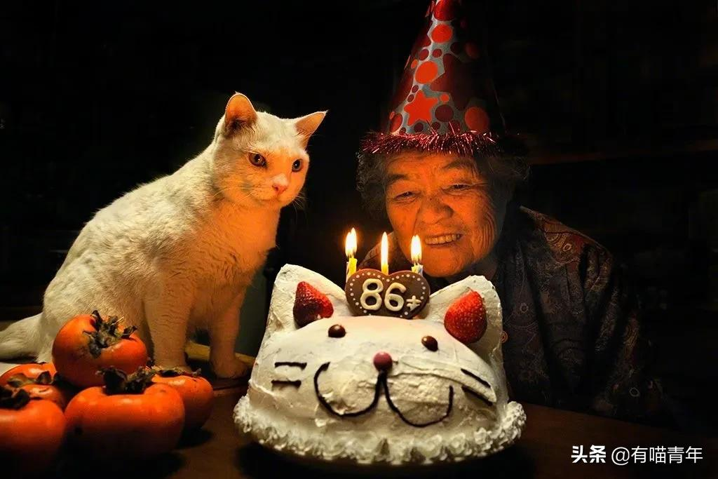 谢谢，福丸！再见，福丸