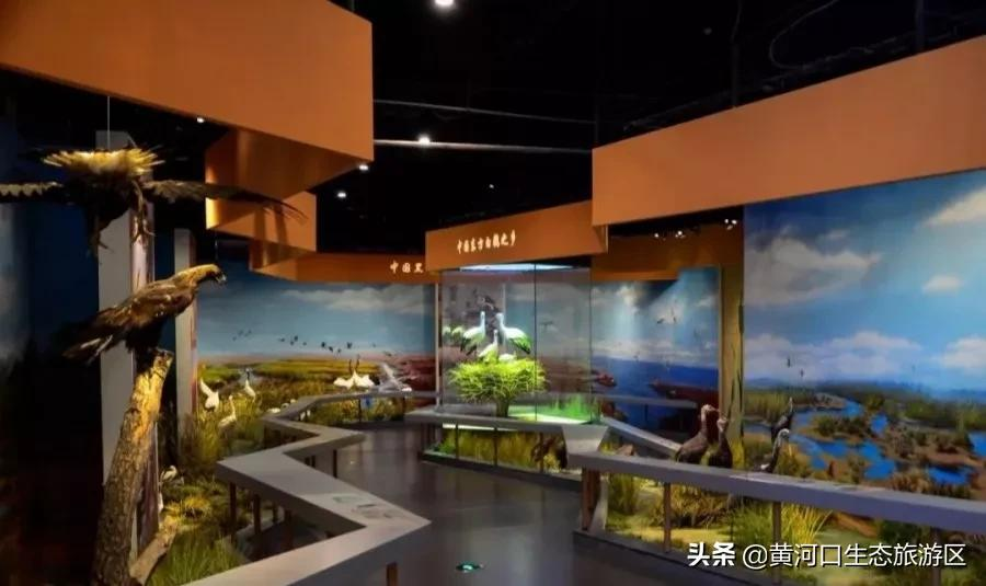 【黄河口生态旅游区】秋思黄河口