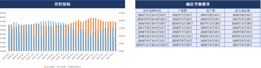 “补库”促蛋价回暖，持续性恐面临考验