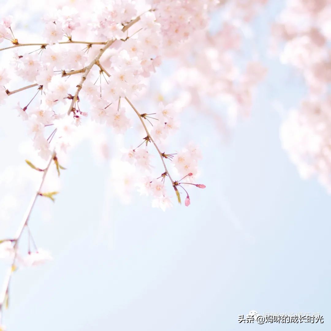 我和写作｜六分之一