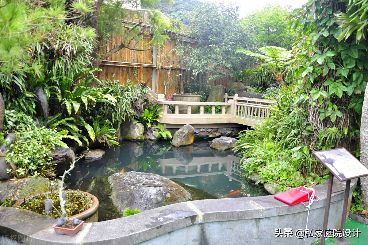 私家庭院设计——庭院锦鲤鱼池如何施工？