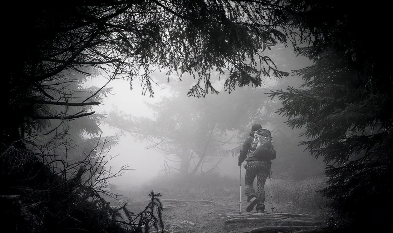 走不出的困境？哀牢山遇难者曾山中转圈，遭遇“鬼打墙”后又失温