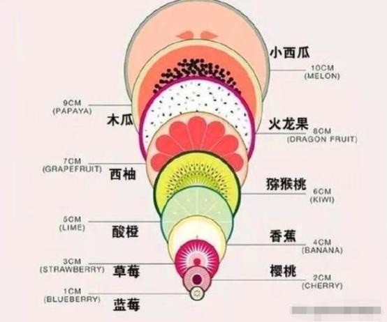 生娃时,宫口开十指到底什么样,这几种模拟图很直观,真不容易