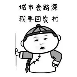 城市套路深,我要回农村,农村路也滑,人心更复杂