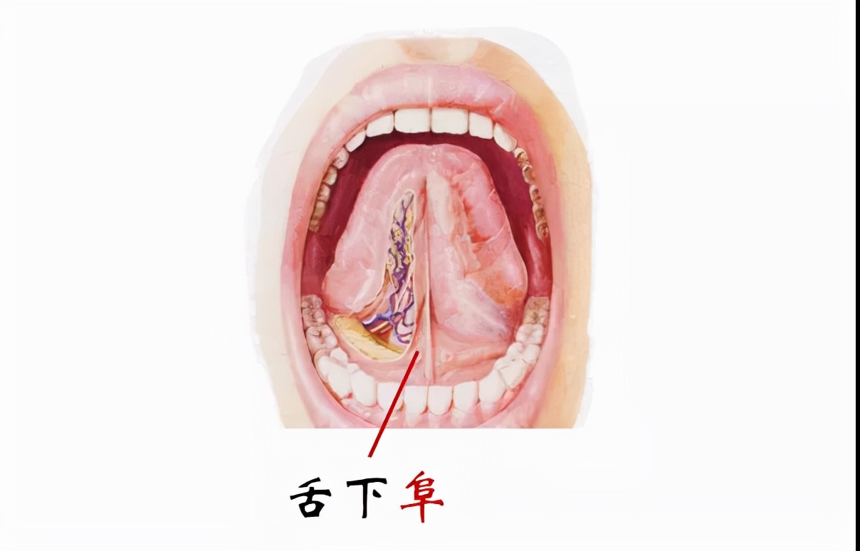 这个90后教师，将说“人”解字搬入解剖学课堂