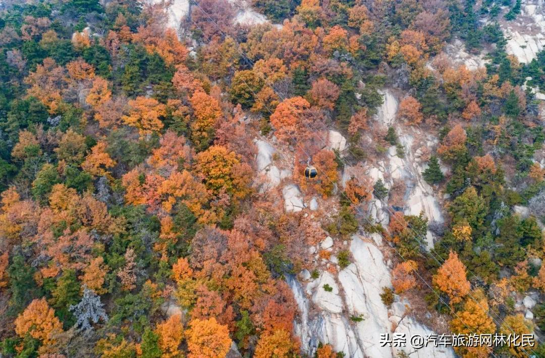 天蒙旅游区为冬奥助力！索道骨干人员出征2022年北京冬奥会