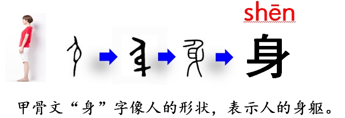小学语文一年下册《小公鸡和小鸭子》知识积累、能力训练（二）