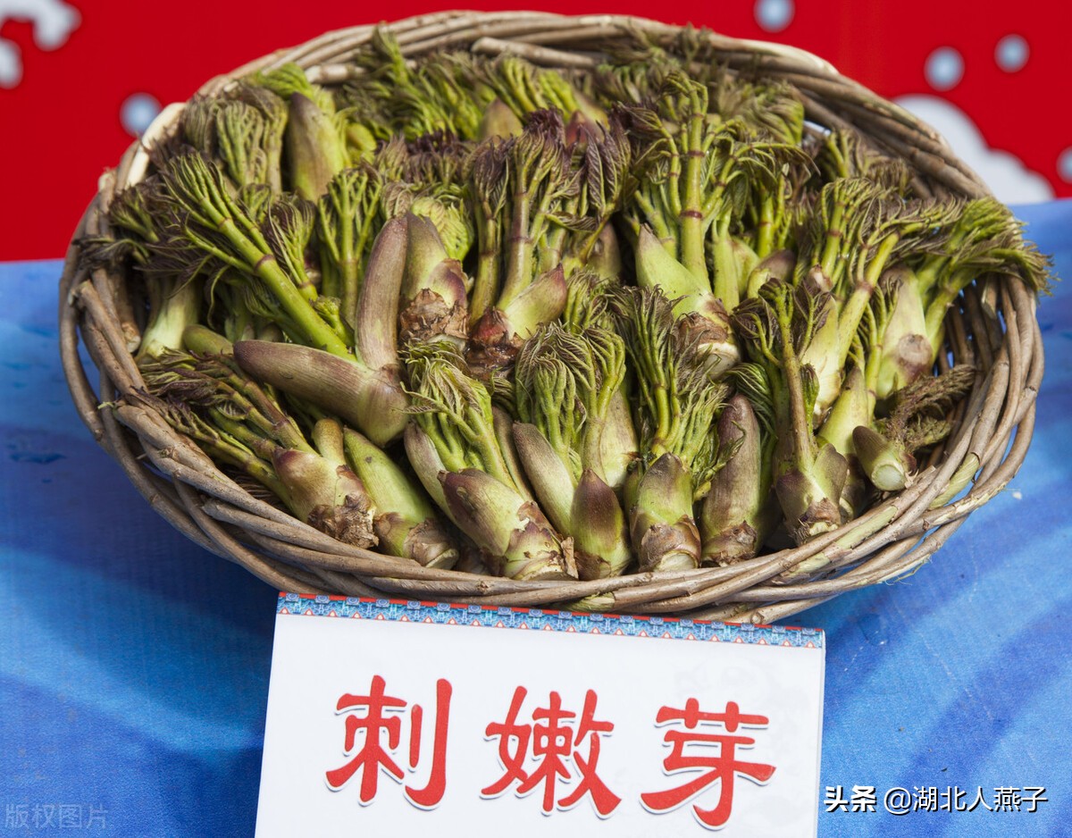 65种野菜图片大全，教你认识不同的野菜和吃法，你想要的野菜都有