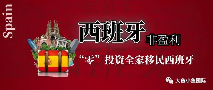 大数据来了，西班牙非盈利移民人数申请超5万