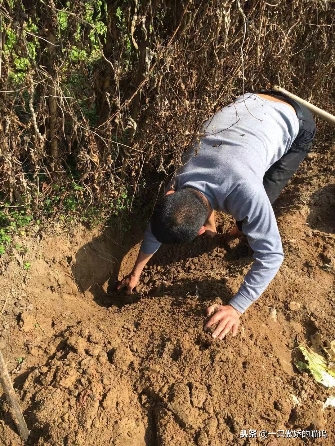 儿童脾胃虚弱如何科学调理？