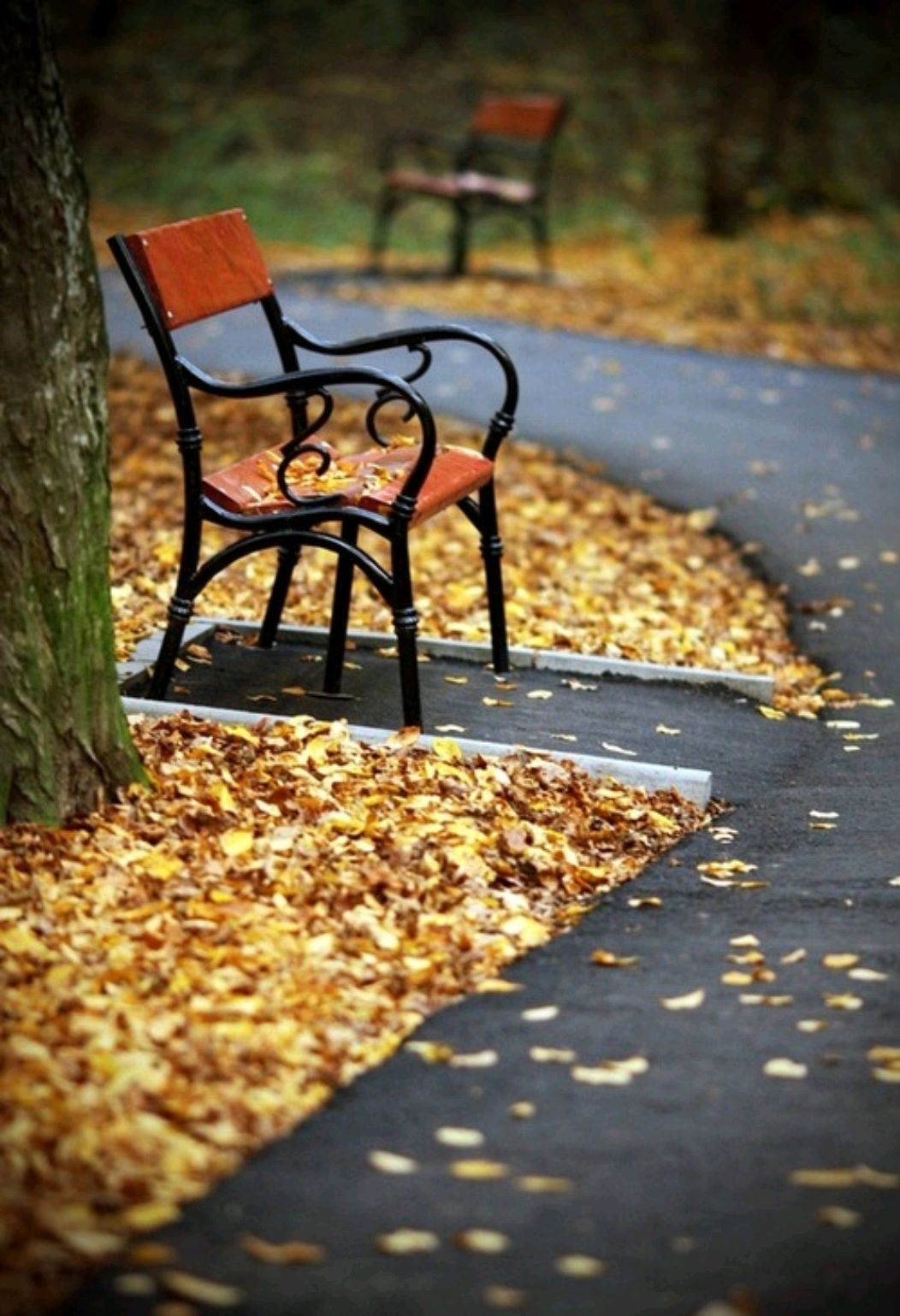 散文：十月深秋，用深情写意人生