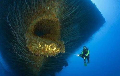 海底最恐怖的图片一万图片