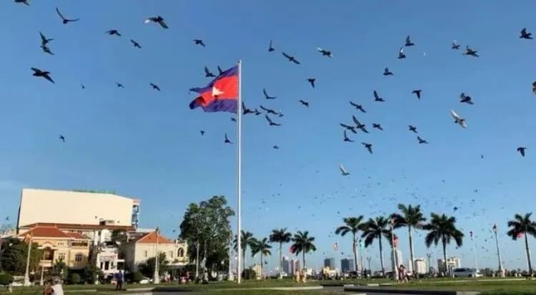 威尔斯公馆十月工程进度：时光不负期待，共启城市美好