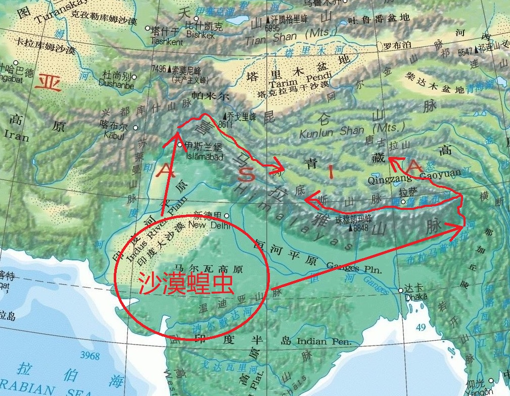 如果“沙漠蝗虫”想要进入我国，新疆、西藏和云南地区是主要方向