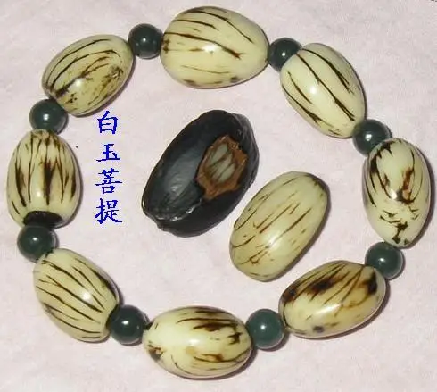 菩提子种类全详解（配图不易）