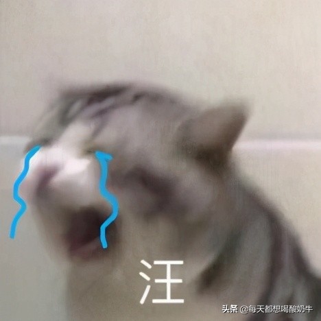 送什么礼物可以让女孩子开心（能让女朋友开心的礼物）