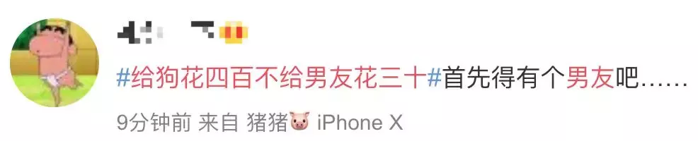 00后女友花400多给爱犬美容,男友花30元理发却嫌贵?