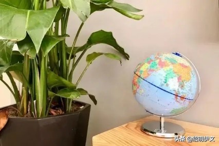 给小孩准备六一儿童节礼物（六一儿童节送什么礼物合适）