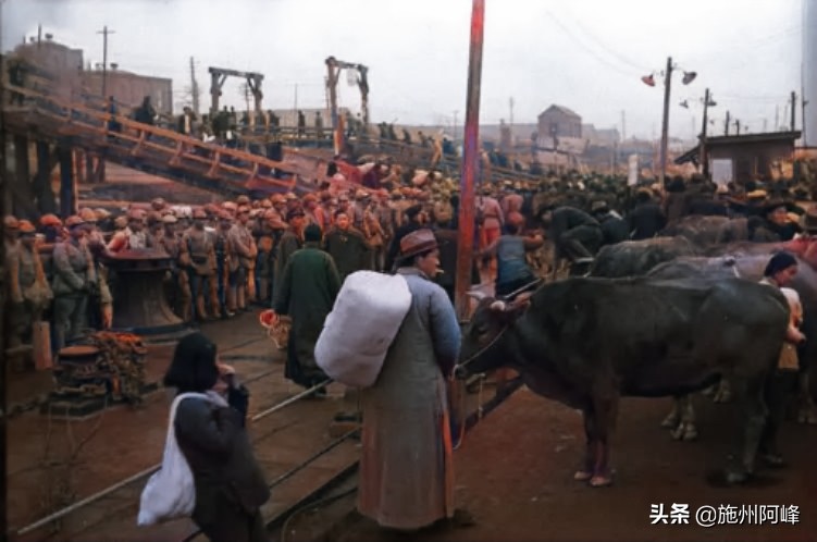 1949���Ͼ����ǰ���񵳾��ϳ�����ʷ����