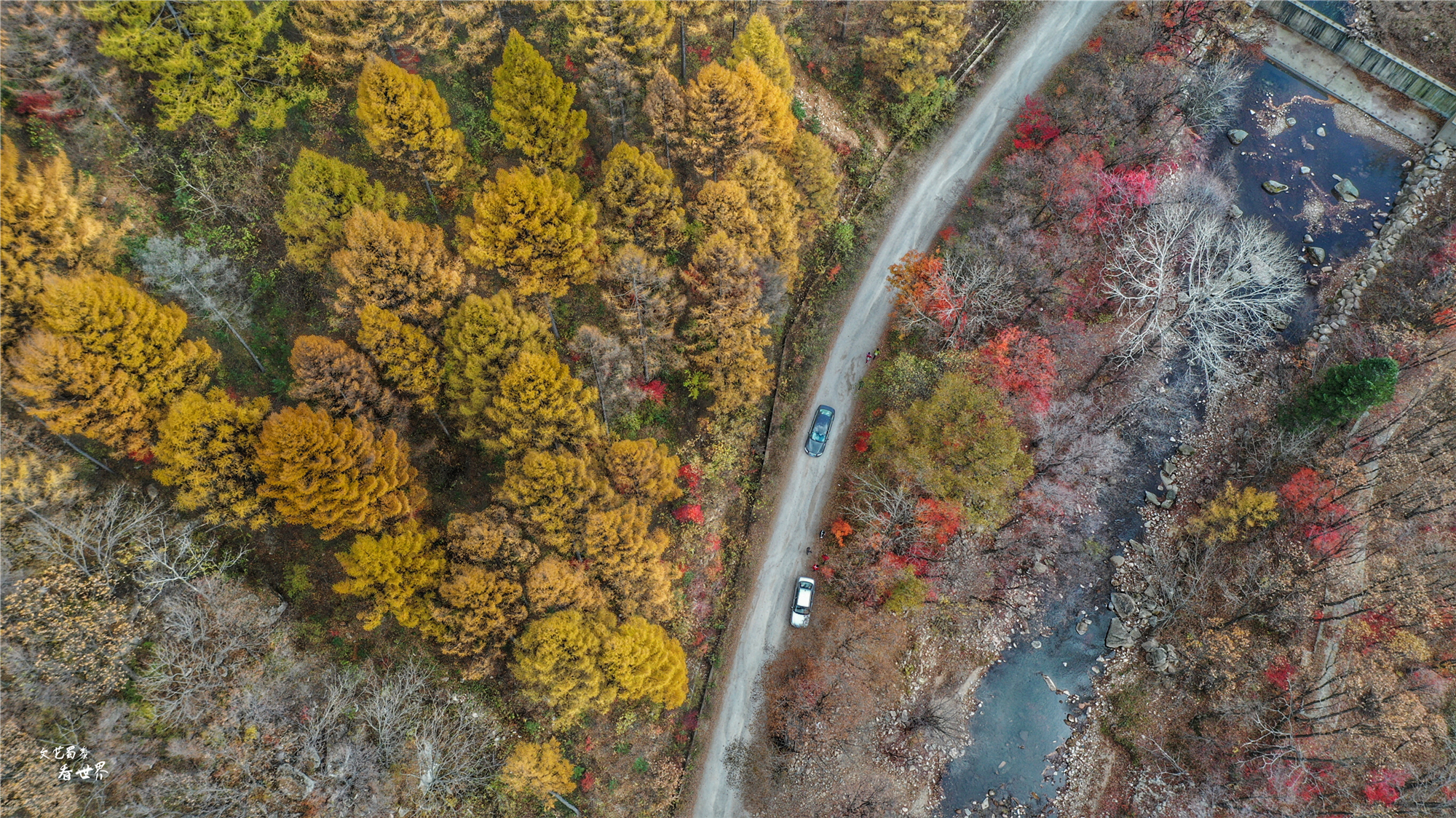 本溪有一个可以自驾游览的景区，观赏红叶绝美，今年秋天不能错过