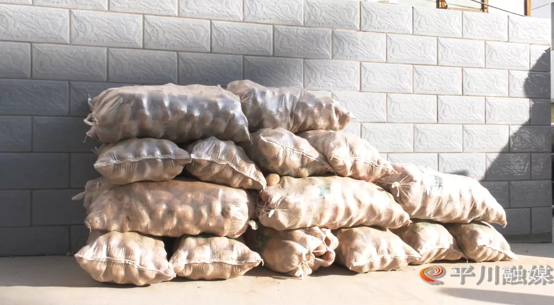 暖心助农 携手战“疫” 平川区复兴乡汉口村驻村工作队助力农产品销售