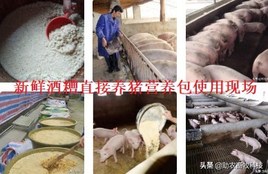 今后只有三種豬場(chǎng)（自有散養(yǎng)豬場(chǎng)）是可以長(zhǎng)期保持穩(wěn)定盈利的