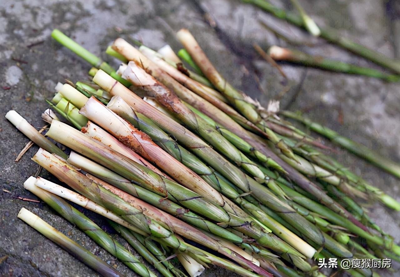 40种野菜图片大全,教你认识不同的野菜和吃法,你想要的野菜都有