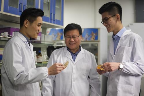 西方不明白:为何遇到的危机越大,中国反而创造力越强呢?(图6) 西方不明白:为何遇到的危机越大,中国反而创造力越强呢?