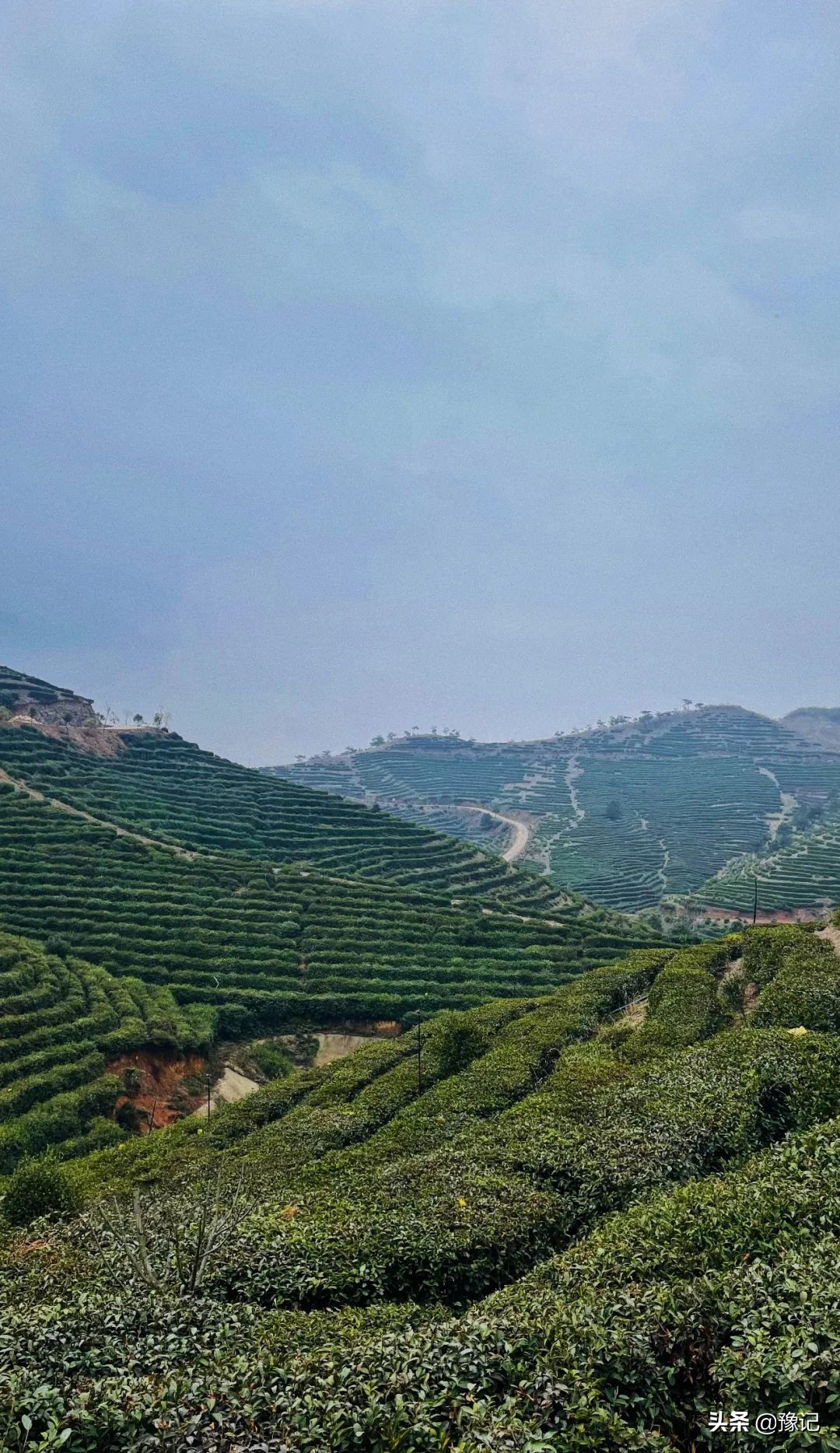 站在信阳茶山的山顶,一道耶稣光刺破云层,从天而降