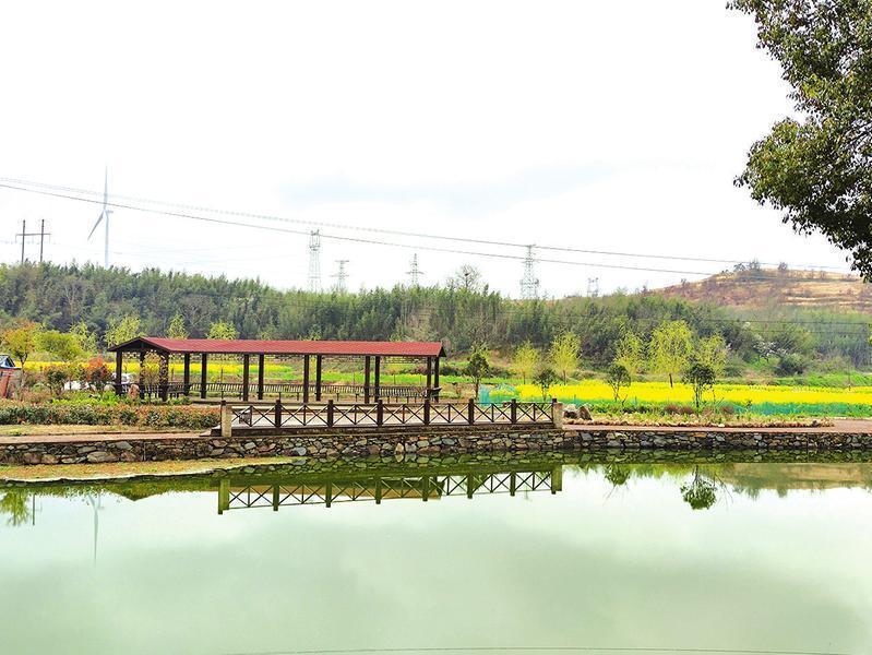 广水杨寨京桥村：架起村美民富的“金桥”