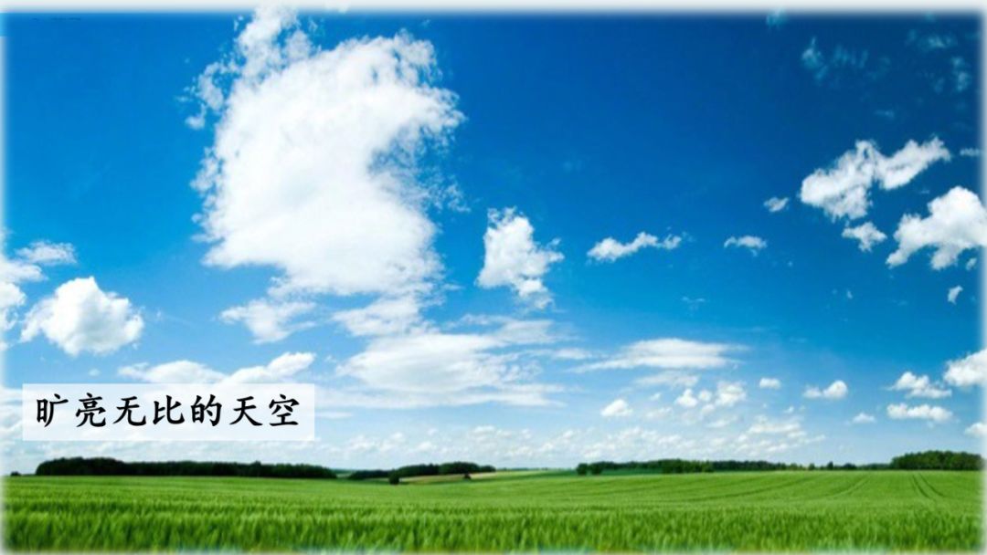部编版三年级语文下册第二课《燕子》知识点及课堂测试题