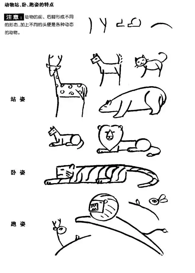 简笔画｜超详细动物简笔画教程，一学就会，快为孩子收藏！