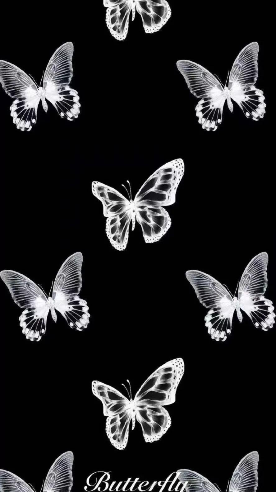 黑色系壁纸黑色主题壁纸